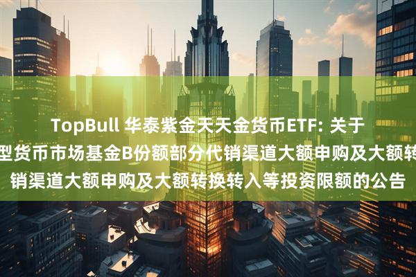 TopBull 华泰紫金天天金货币ETF: 关于调整华泰紫金天天金交易型货币市场基金B份额部分代销渠道大额申购及大额转换转入等投资限额的公告