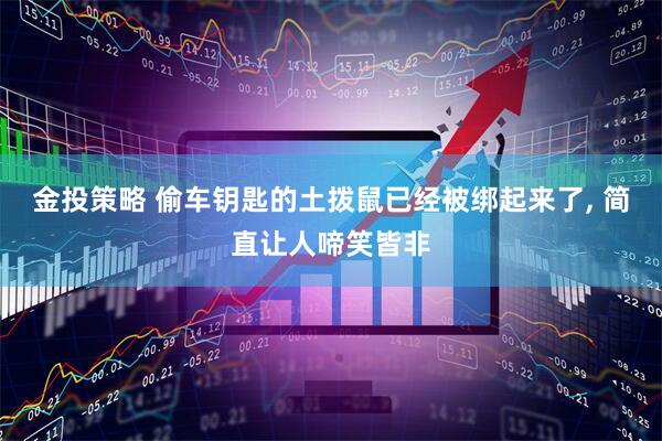 金投策略 偷车钥匙的土拨鼠已经被绑起来了, 简直让人啼笑皆非