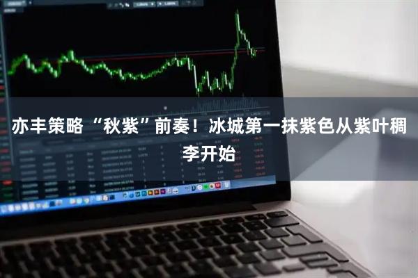 亦丰策略 “秋紫”前奏!冰城第一抹紫色从紫叶稠李开始