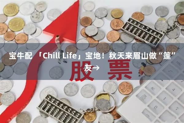 宝牛配 「Chill Life」宝地!秋天来眉山做“篷”友→